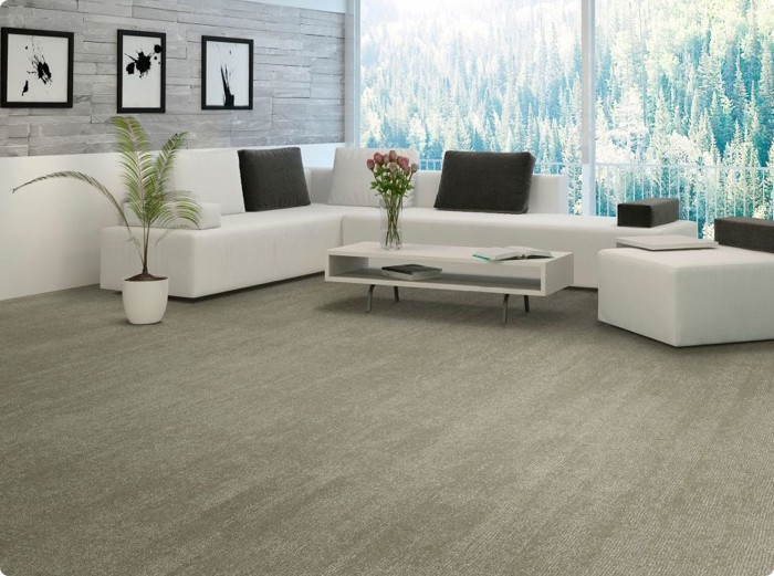 Living room carpet flooring | The Floor Store