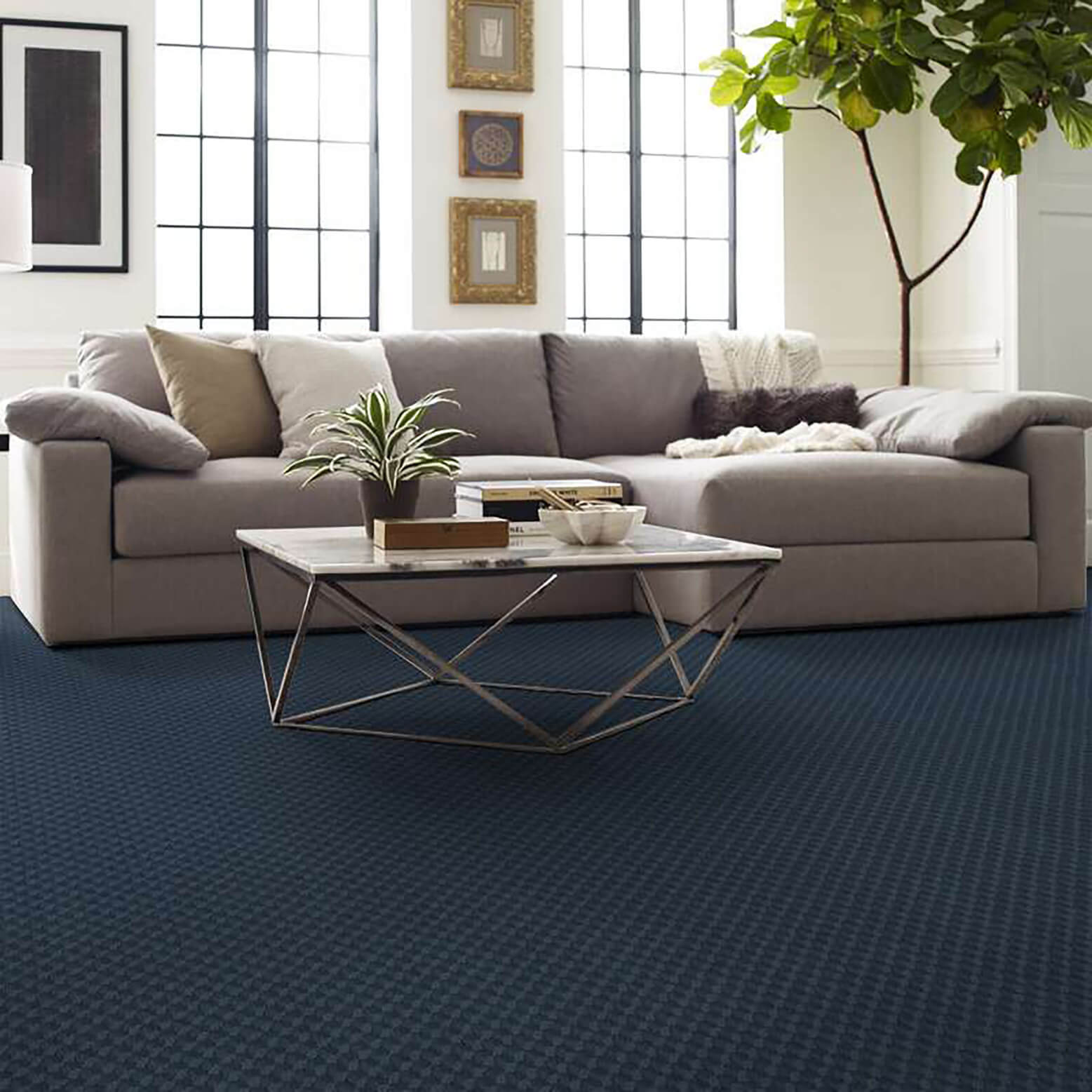 nylon carpet in living room 
