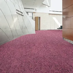 Commercial Flooring San Francisco Ca | The Floor Store