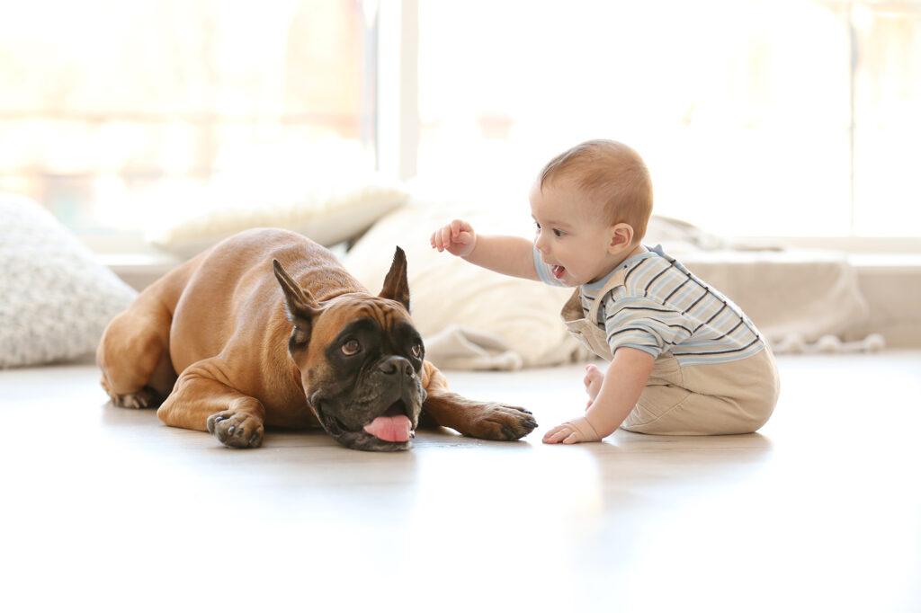 baby and dog on tile floor