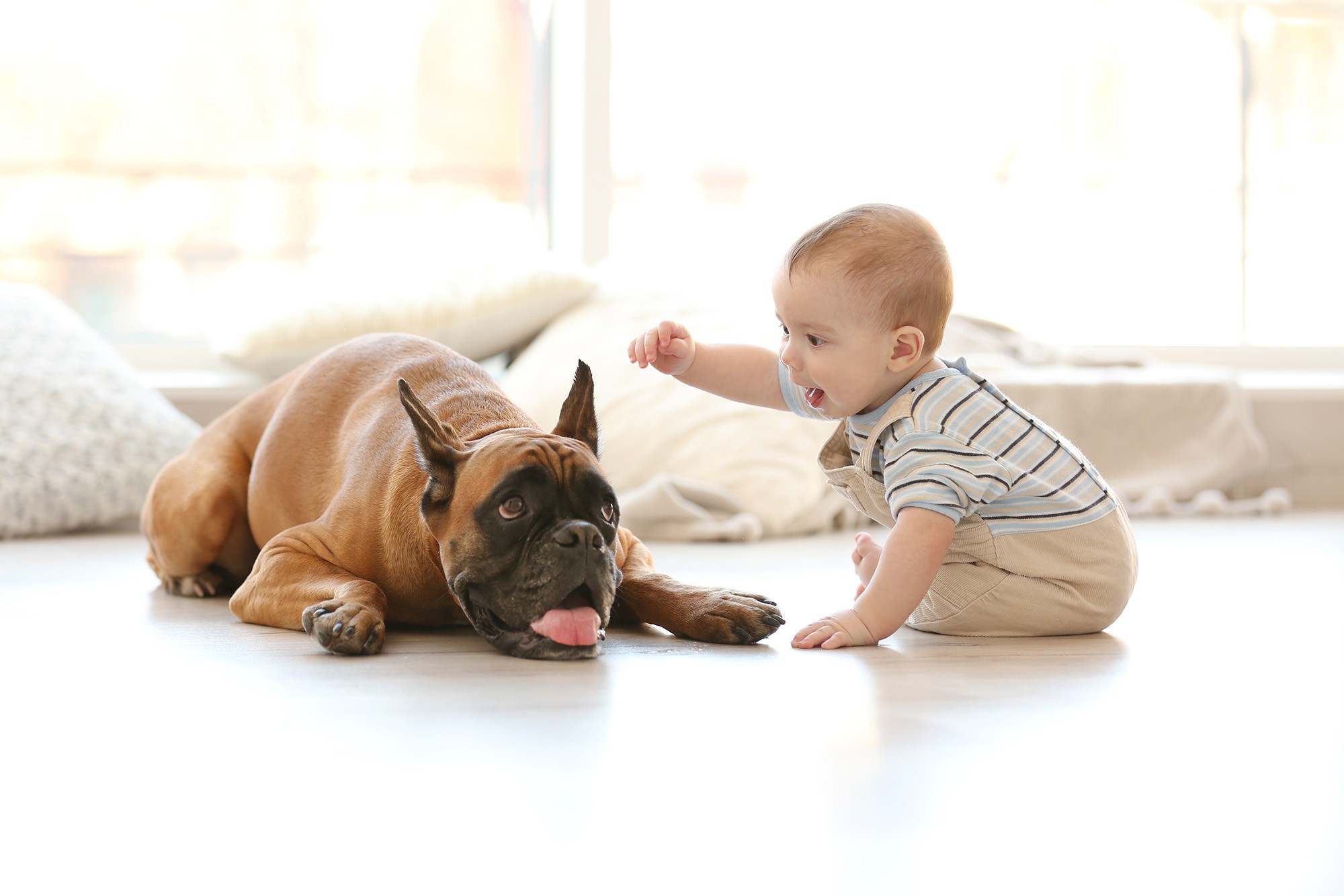 baby and dog on tile floor