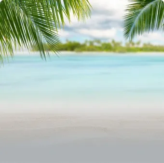 designer-program-Platinum-img Marco Island | The Floor Store