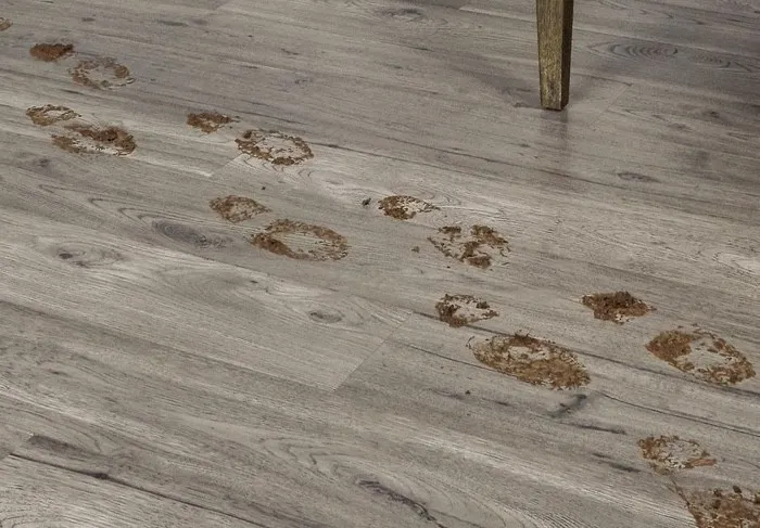 laminate-clean-img-1 Dealing with stains and spills | The Floor Store