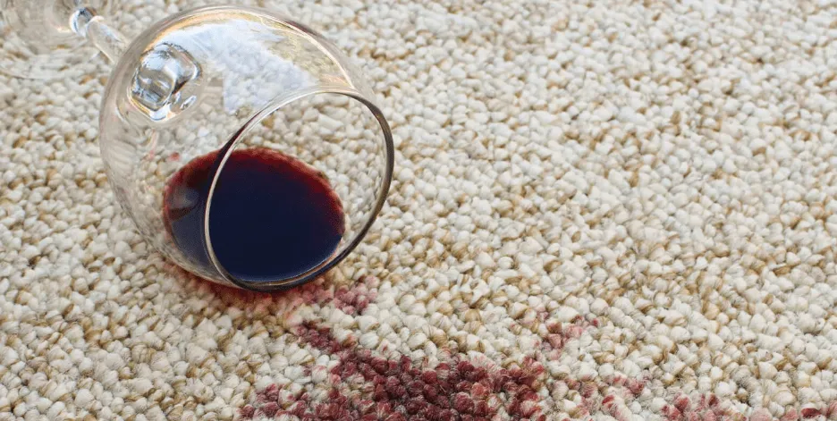 stains-and-spillsject Carpet Spill & Stain | The Floor Store