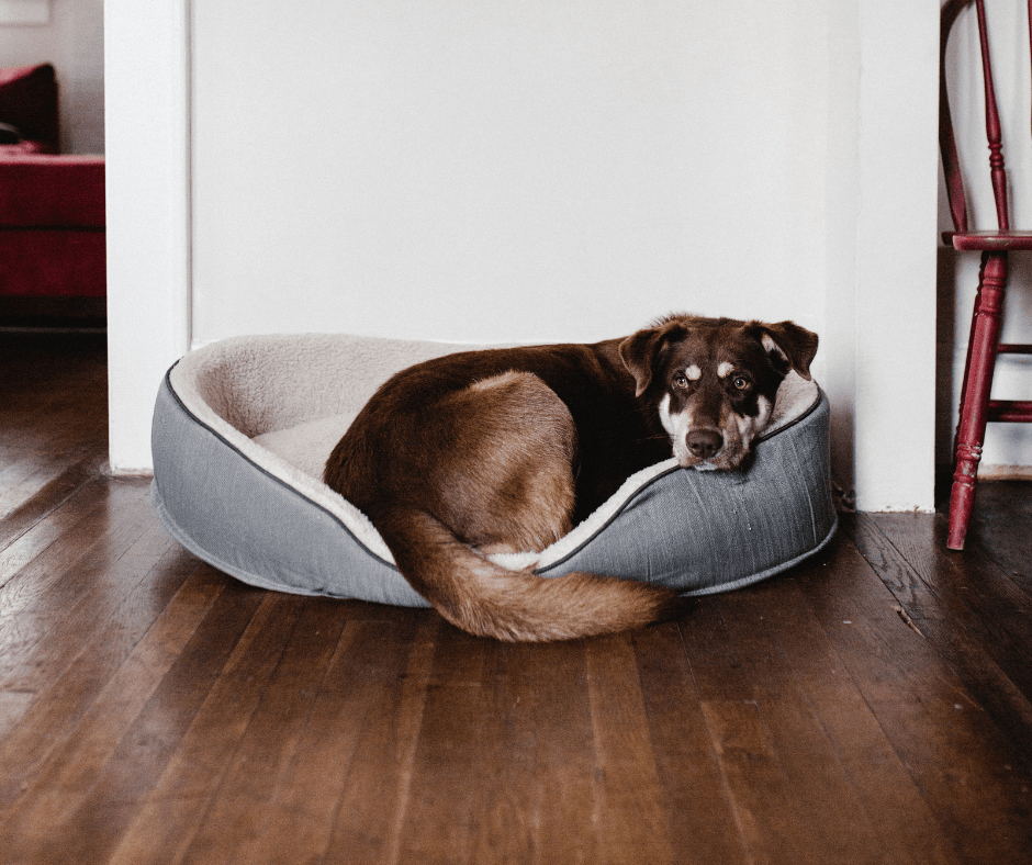 Hardwood Flooring | The Floor Store