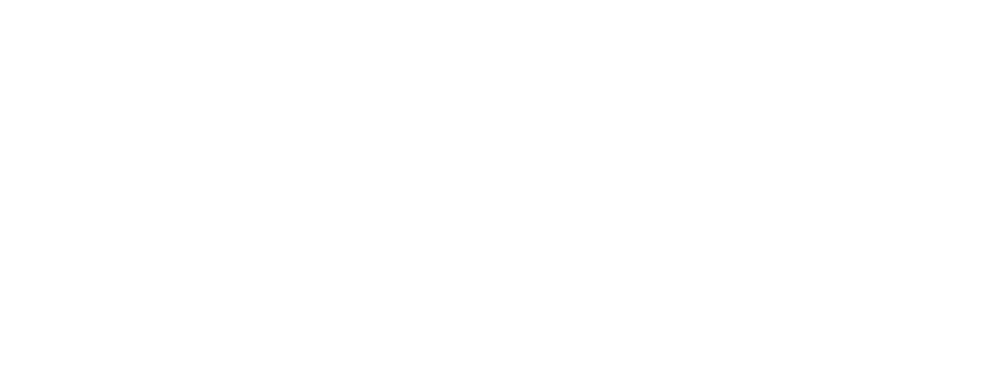 The Floor Store Outlet Logo