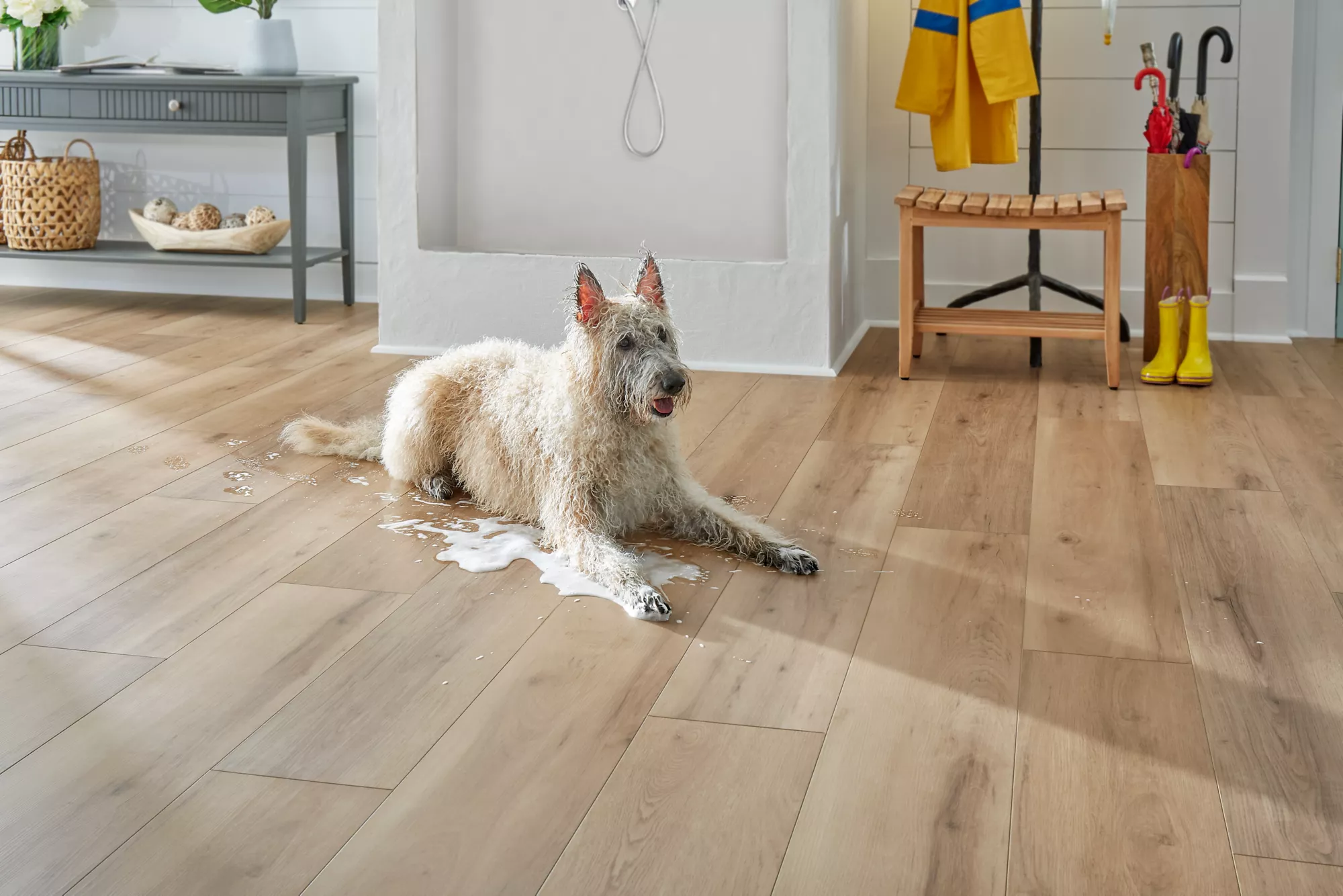 Mohawk SolidTech | The Floor Store