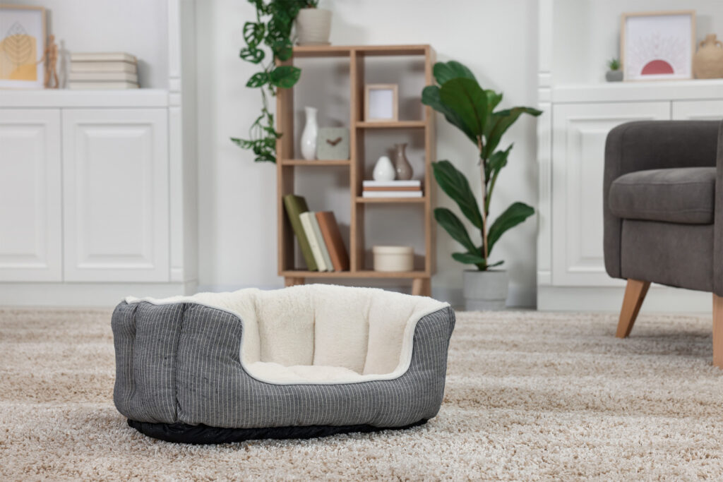 Carpet Texture Types | The Floor Store | Bay Area, CA