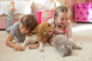 Choosing the Best Carpet for a House with Pets