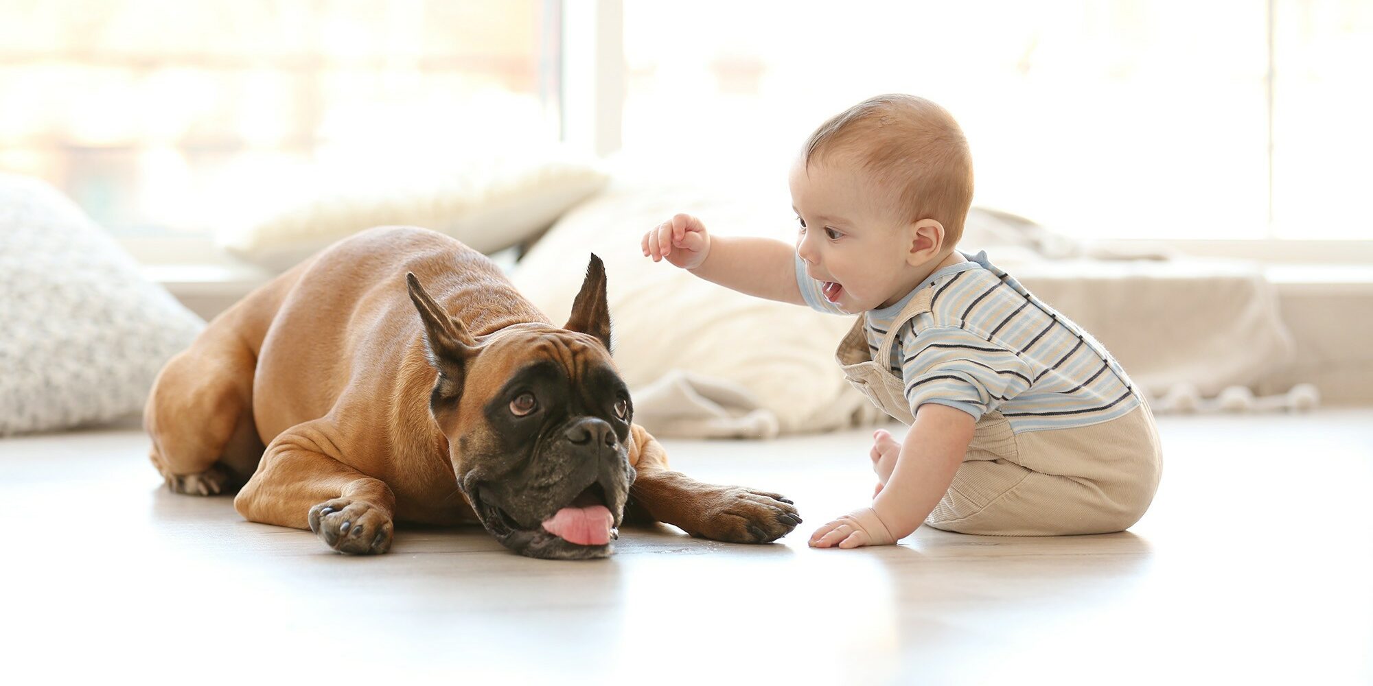 Is laminate durable enough for homes with pets
