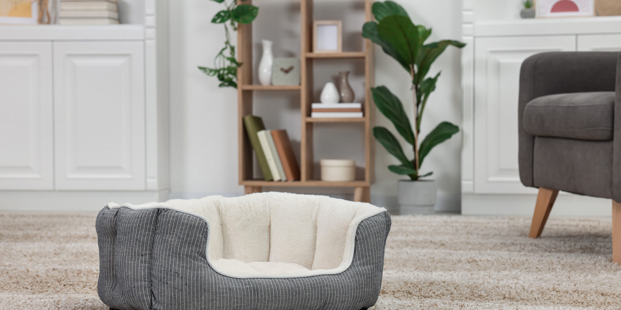 Carpet Texture Types | The Floor Store | Bay Area, CA Carpet Texture Types | The Floor Store | Bay Area, CA