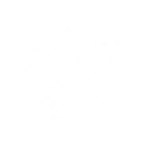 guarantee