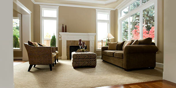 Living room Carpet flooring | The Floor Store